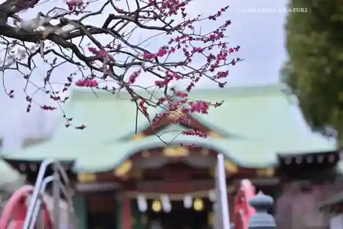 亀戸天神社の自然