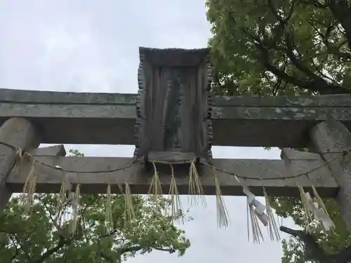 大麻比古神社の鳥居