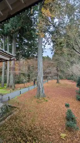 三千院門跡(京都府)
