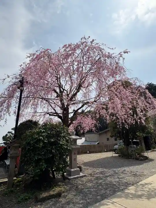 太平山神社(栃木県)