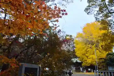 鶴嶺八幡宮(神奈川県)