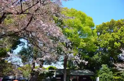 阿佐ヶ谷神明宮のその他建物