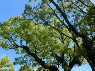 美奈宜神社(福岡県)
