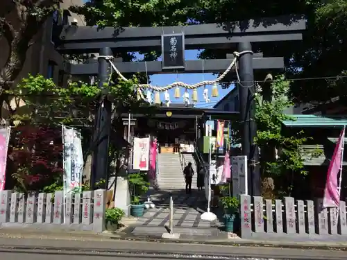 菊名神社の鳥居