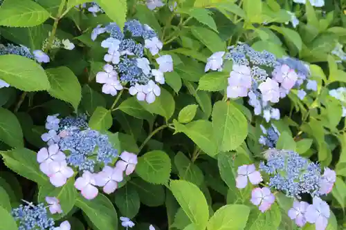 性海寺(愛知県)
