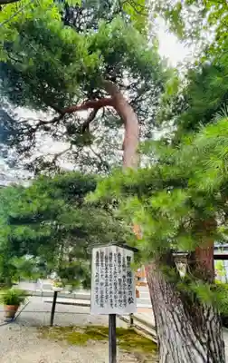 座光如来寺（元善光寺）(長野県)