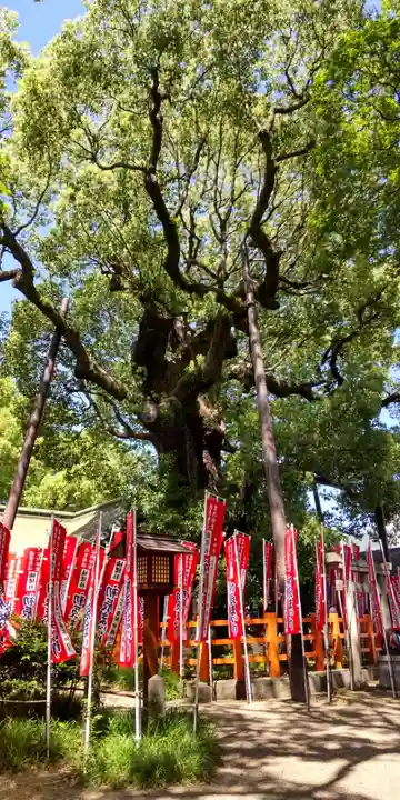 住吉大社(大阪府)
