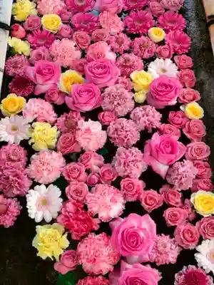 津島神社の手水舎