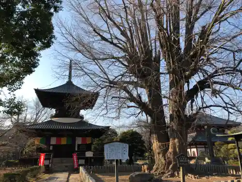 鑁阿寺のその他建物