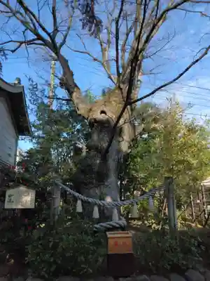 溝口神社(神奈川県)