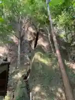 立岩神社の本殿・本堂