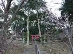 曽我浅間神社の建物その他