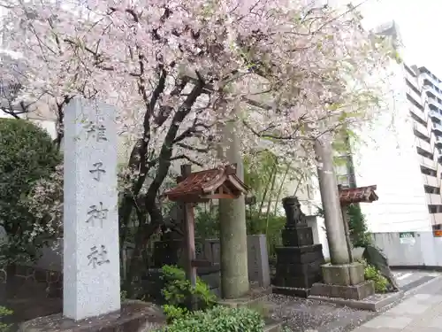 雉子神社の鳥居