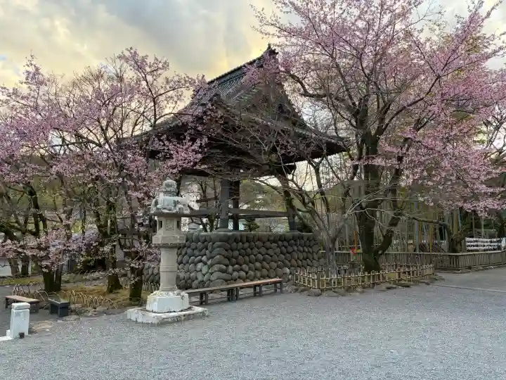 修禅寺の{uncategorized: "未分類", other: "その他", undefined: "問題あり", building: "その他建物", grave: "お墓", sacred_gate: "鳥居", guardian: "狛犬", statue: "像", buddha: "仏像", history: "歴史", nature: "自然", garden: "庭園", animal: "動物", pagoda: "塔", temizu: "手水舎", mountain_gate: "山門・神門", sanctuary: "本殿・本堂", subordinate: "末社・摂社", art: "芸術", scenery: "景色", jizo: "地蔵", ema: "絵馬", goshuin: "御朱印", omikuji: "おみくじ", items: "授与品その他", amulet: "お守り", goshuincho: "御朱印帳", eats: "食事", festival: "お祭り", votive_dance: "神楽", shichigosan: "七五三参", wedding: "結婚式", experience: "体験その他", initially: "初詣", around: "周辺", anti_infection: "感染症対策"}
