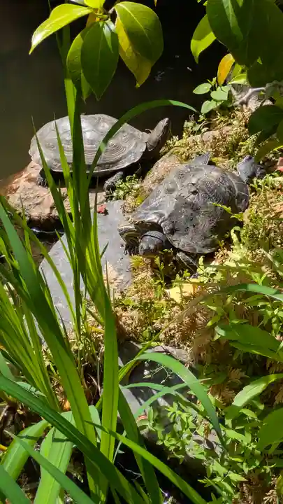 宝蔵寺(京都府)