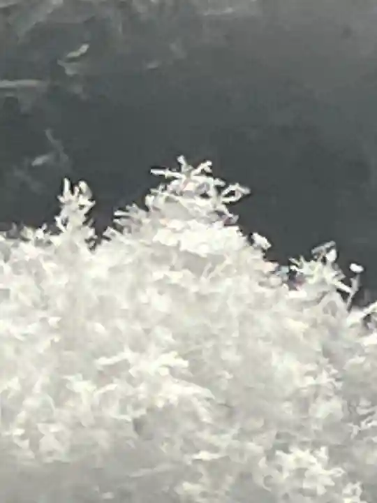 白山神社(岐阜県)