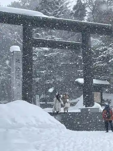 北海道神宮の鳥居