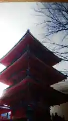 清水寺の塔