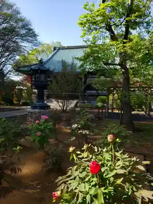 愛染院(東京都)