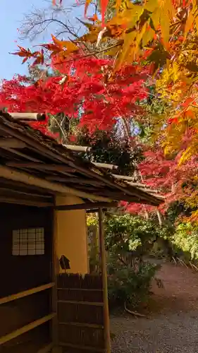 常照寺(京都府)