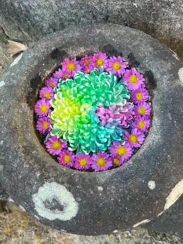 松應寺(愛知県)