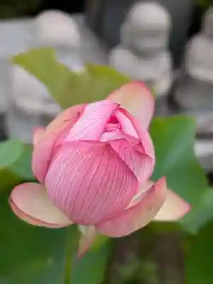 長善寺(東京都)