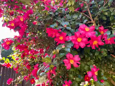 清水観音堂(東京都)