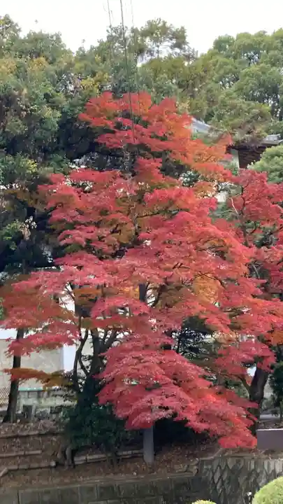 龍泉寺(愛知県)