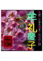 耕田院(山形県)