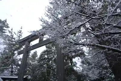寒川神社(神奈川県)