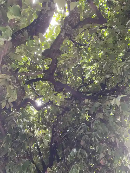 明光寺(京都府)