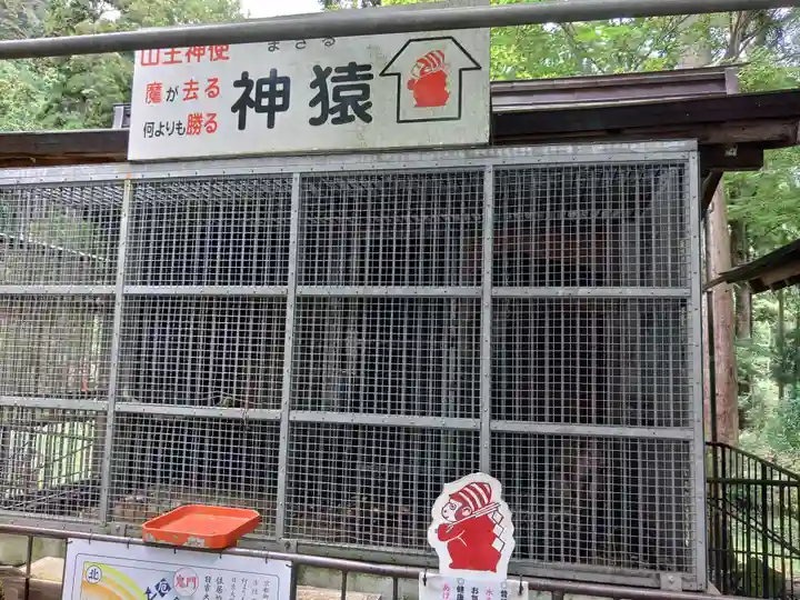 日吉大社(滋賀県)