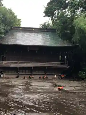 谷保天満宮のその他建物