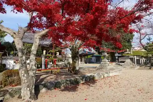 帝釈寺の庭園