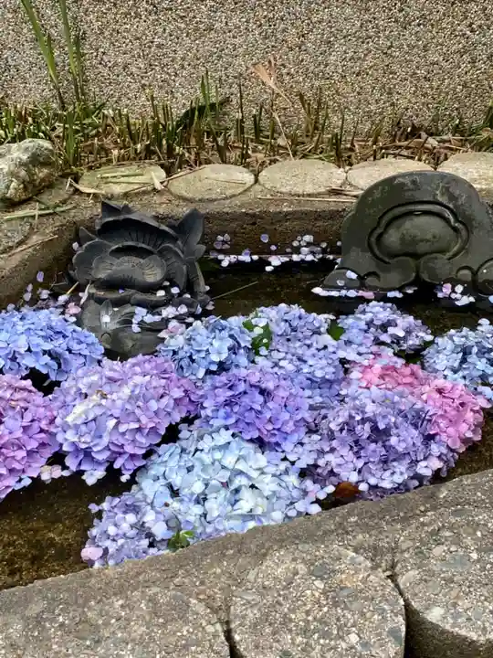 萬福寺(京都府)