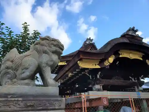 瀧尾神社の狛犬