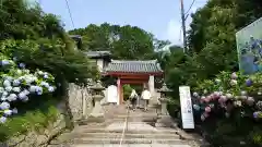 矢田寺の建物その他