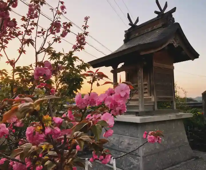 真言宗 善通寺派 薬王寺の{uncategorized: "未分類", other: "その他", undefined: "問題あり", building: "その他建物", grave: "お墓", sacred_gate: "鳥居", guardian: "狛犬", statue: "像", buddha: "仏像", history: "歴史", nature: "自然", garden: "庭園", animal: "動物", pagoda: "塔", temizu: "手水舎", mountain_gate: "山門・神門", sanctuary: "本殿・本堂", subordinate: "末社・摂社", art: "芸術", scenery: "景色", jizo: "地蔵", ema: "絵馬", goshuin: "御朱印", omikuji: "おみくじ", items: "授与品その他", amulet: "お守り", goshuincho: "御朱印帳", eats: "食事", festival: "お祭り", votive_dance: "神楽", shichigosan: "七五三参", wedding: "結婚式", experience: "体験その他", initially: "初詣", around: "周辺", anti_infection: "感染症対策"}