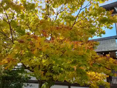 秋田県護國神社(秋田県)