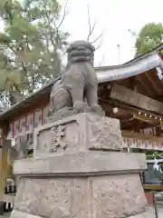 玉村八幡宮の狛犬