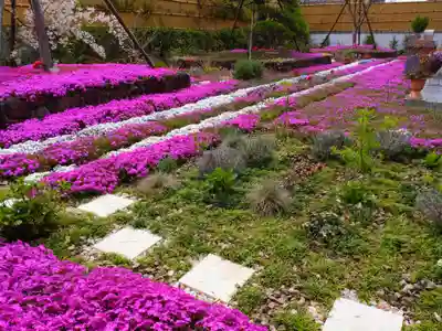 寿量山 速成寺(奈良県)