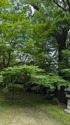 十輪寺(京都府)