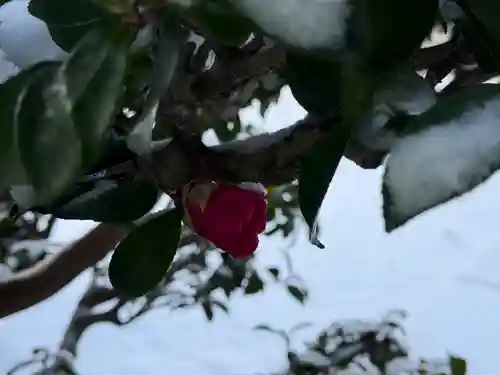 西方山極楽寺(岐阜県)