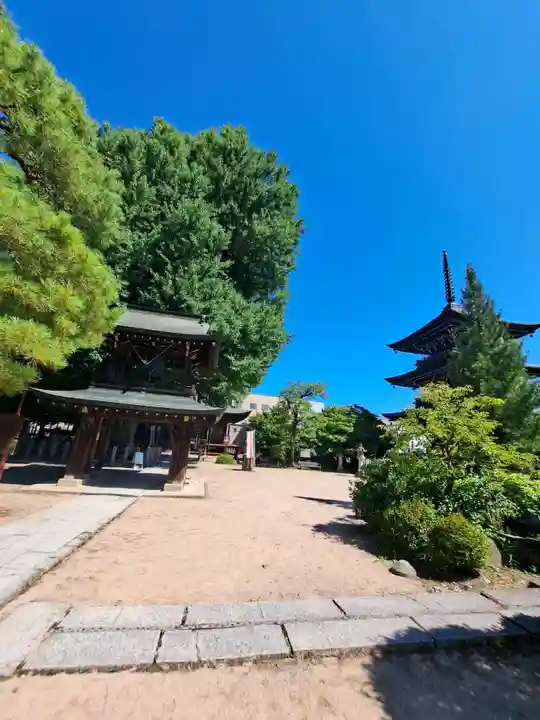 飛騨国分寺(岐阜県)