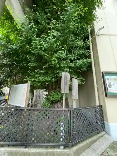 根岸八幡神社(神奈川県)