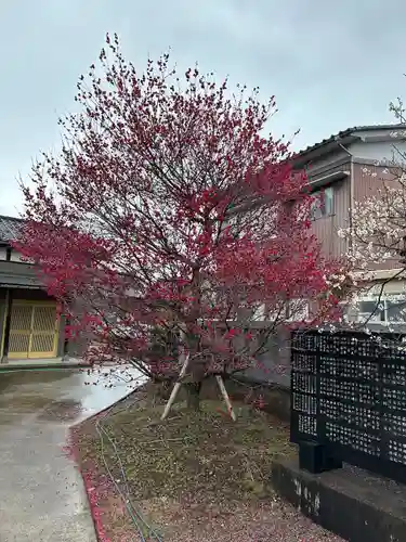 廣田神社(富山県)