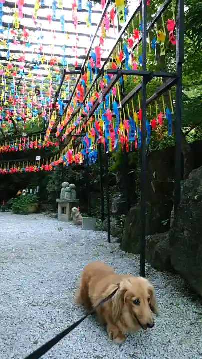 三井寺(平等寺)の{uncategorized: "未分類", other: "その他", undefined: "問題あり", building: "その他建物", grave: "お墓", sacred_gate: "鳥居", guardian: "狛犬", statue: "像", buddha: "仏像", history: "歴史", nature: "自然", garden: "庭園", animal: "動物", pagoda: "塔", temizu: "手水舎", mountain_gate: "山門・神門", sanctuary: "本殿・本堂", subordinate: "末社・摂社", art: "芸術", scenery: "景色", jizo: "地蔵", ema: "絵馬", goshuin: "御朱印", omikuji: "おみくじ", items: "授与品その他", amulet: "お守り", goshuincho: "御朱印帳", eats: "食事", festival: "お祭り", votive_dance: "神楽", shichigosan: "七五三参", wedding: "結婚式", experience: "体験その他", initially: "初詣", around: "周辺", anti_infection: "感染症対策"}