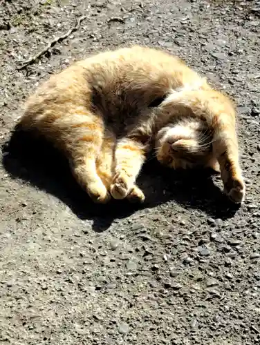 小松寺(千葉県)