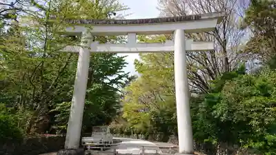 新潟縣護國神社の鳥居