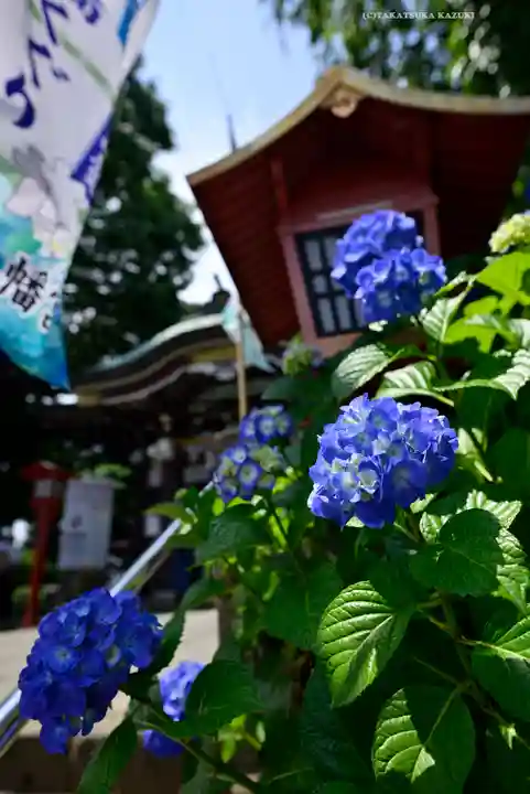 川越八幡宮(埼玉県)